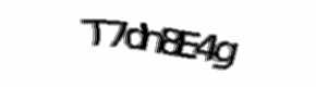 Security check image, please type the characters shown