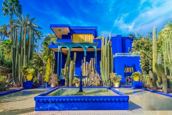 Bright blue building with large cactuses surrounding.