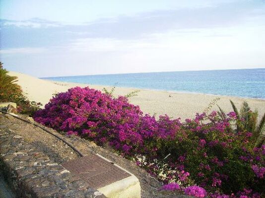Apartamentos Punta Marina by LIVVO - 6 of 6