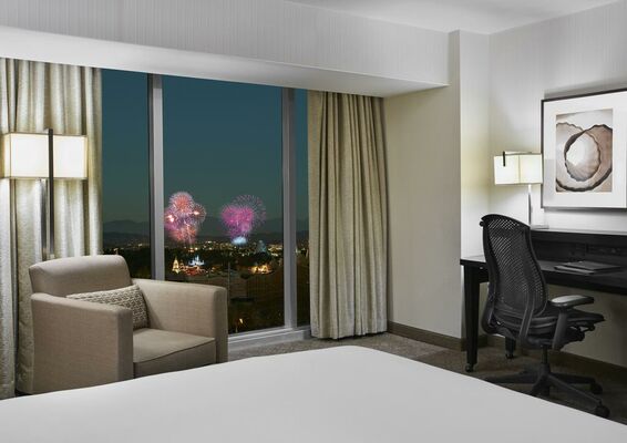 Hilton Anaheim - 12 of 19