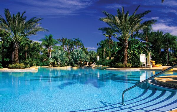 USA: Swimming pool, drinks and palm trees in Jacksonville –