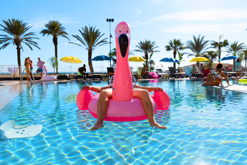 Floating on a flamingo inflatable in the pool