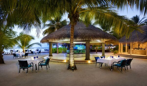 Sheraton Maldives Full Moon Resort & Spa - 17 of 21