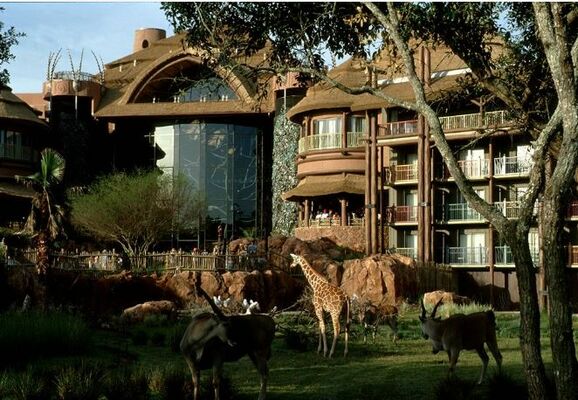 Disneys Animal Kingdom Lodge - Walt Disney World Resort, Florida - On The  Beach