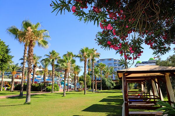 Caretta Beach Hotel - 10 of 22
