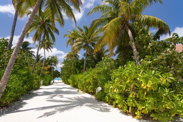 Cinnamon Velifushi Maldives - 18 of 24