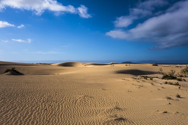Corralejo  dunes